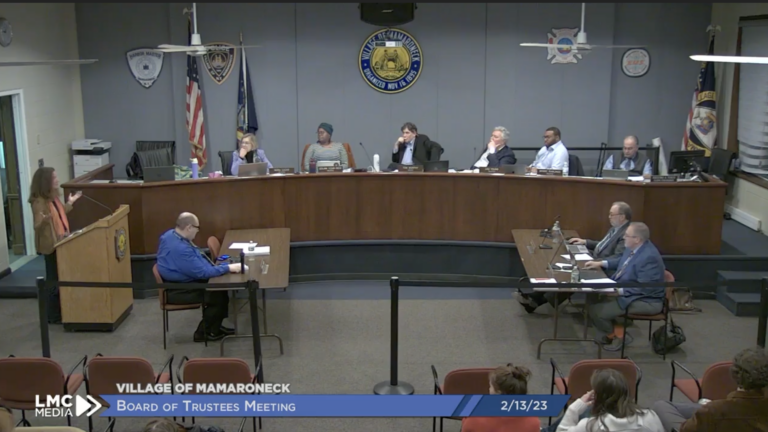Mamaroneck Term Limits meeting