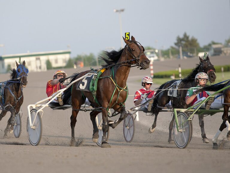 Racers on Yonkers Racetrack
