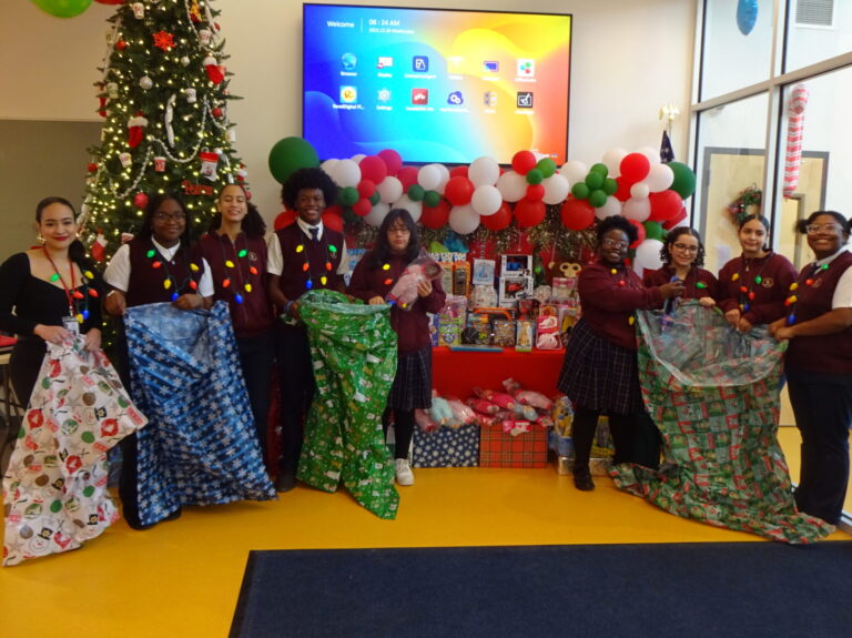Toy collection at Charter School for Educational Excellence
