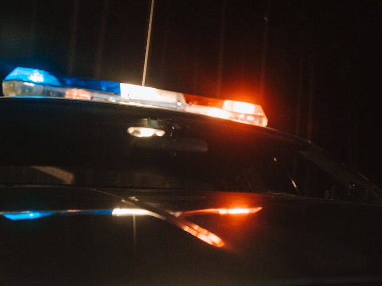 police arresting thief