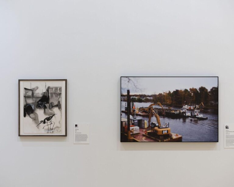 A Conversation with Environmental Artist Susan Wides