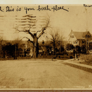 Here's a full picture of the same tree dying from the blight a few years later. You can see the Palisades in the background. Photo Credit VictoriaSource.com