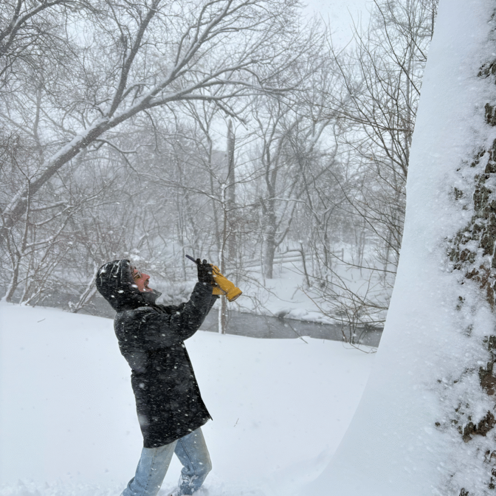 Blizzard Photos by Phil Zisman – Watching out for the Widowmakers as I marvel at a huge red oak.
