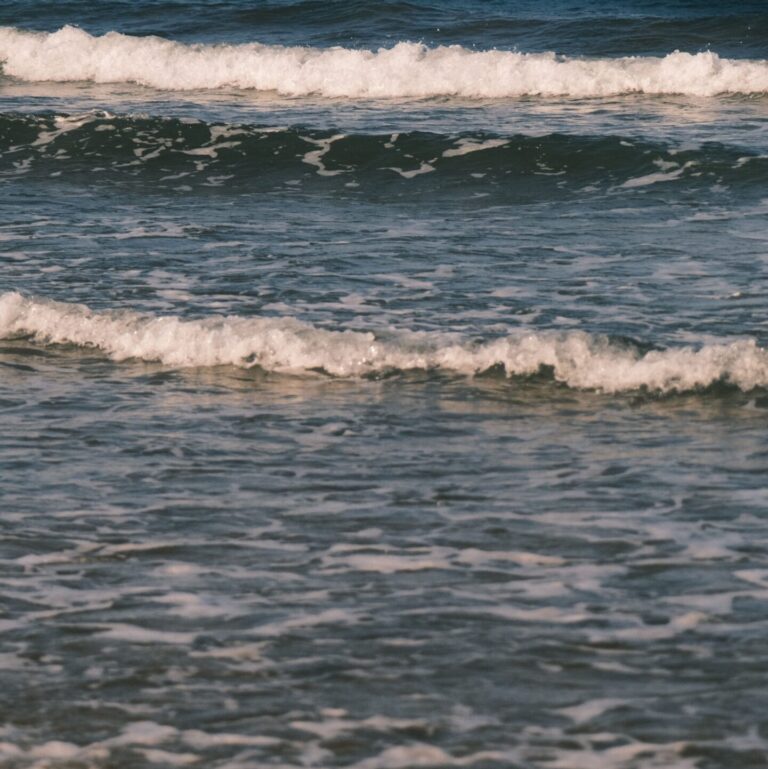 Picture of Waves