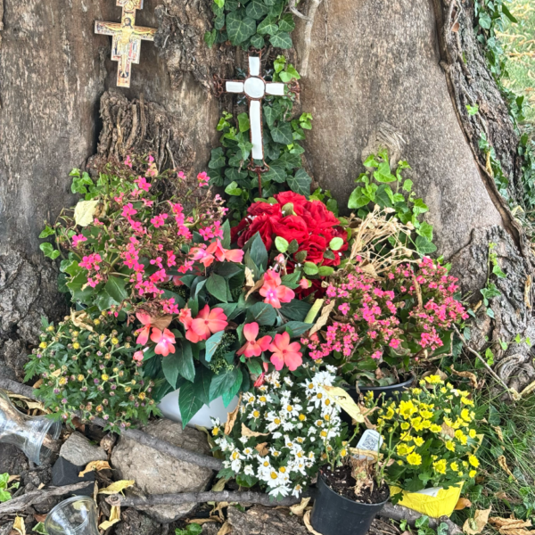 shrine at gase of tree