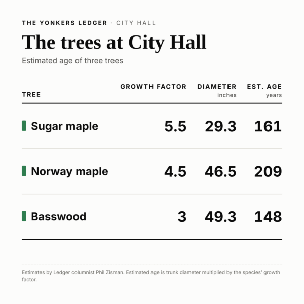 Age chart: “Table: Sugar maple, growth factor 5.5, diameter 29.3 inches, estimated age 161 years. Norway maple, 4.5, 46.5 inches, 209 years. Basswood, 3, 49.3 inches, 148 years.”